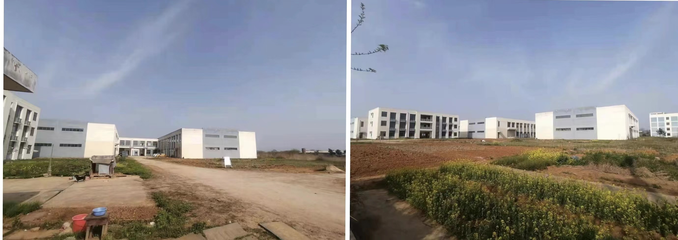 1648730887589239.jpg 1648730887589239.jpg